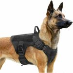 Pet Outdoor Supplies