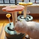 Pet Furniture's & house & bag & bedding